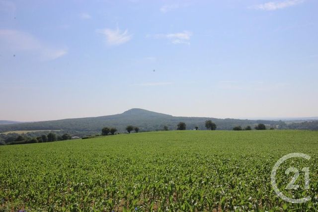  à vendre LA ROCHE MABILE