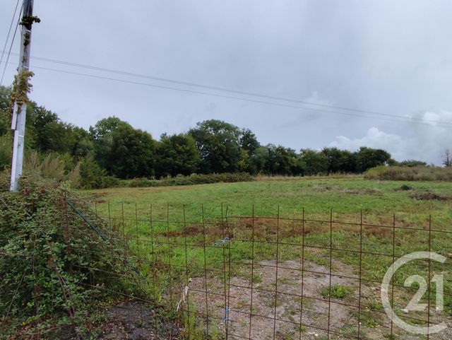 Afficher la photo en grand terrain à vendre - 3300.0 m2 - ARGENTAN - 61 - BASSE-NORMANDIE - Century 21 Ml Immobilier