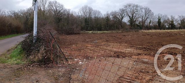 Afficher la photo en grand terrain à vendre - 3300.0 m2 - ARGENTAN - 61 - BASSE-NORMANDIE - Century 21 Ml Immobilier