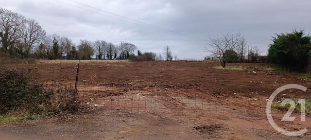 Afficher la photo en grand terrain à vendre - 3300.0 m2 - ARGENTAN - 61 - BASSE-NORMANDIE - Century 21 Ml Immobilier