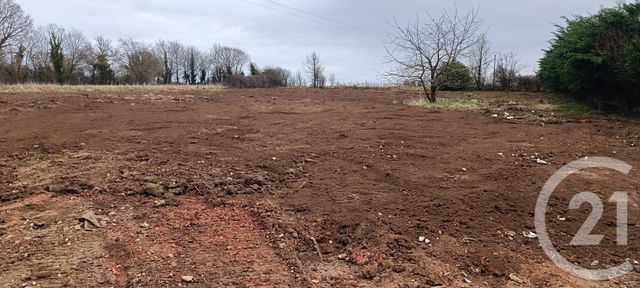 Afficher la photo en grand terrain à vendre - 3300.0 m2 - ARGENTAN - 61 - BASSE-NORMANDIE - Century 21 Ml Immobilier