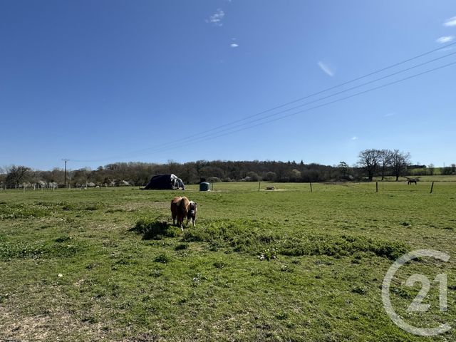 maison à vendre - 7 pièces - 178.0 m2 - ARGENTAN - 61 - BASSE-NORMANDIE - Century 21 Ml Immobilier