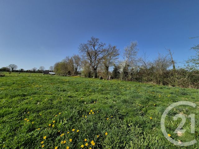 terrain à vendre - 1073.0 m2 - LOUGE SUR MAIRE - 61 - BASSE-NORMANDIE - Century 21 Ml Immobilier