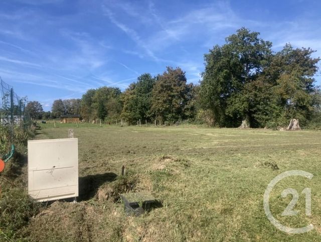 terrain - LOUGE SUR MAIRE - 61