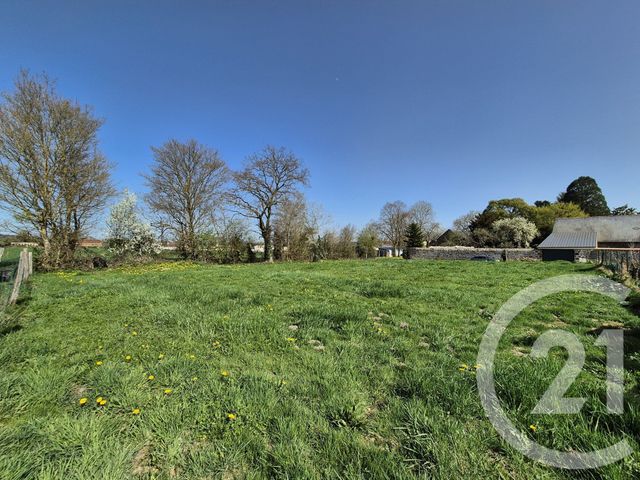 terrain à vendre - 1073.0 m2 - LOUGE SUR MAIRE - 61 - BASSE-NORMANDIE - Century 21 Ml Immobilier