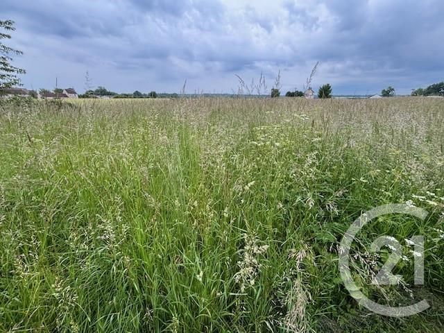 terrain à vendre - 4067.0 m2 - MERRI - 61 - BASSE-NORMANDIE - Century 21 Ml Immobilier