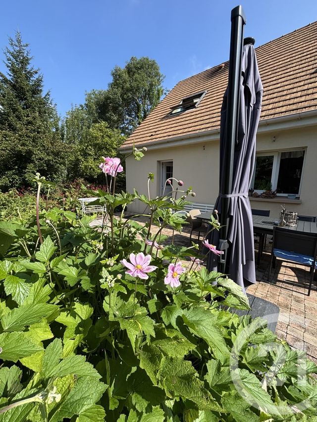 maison à vendre - 6 pièces - 135.0 m2 - ARGENTAN - 61 - BASSE-NORMANDIE - Century 21 Ml Immobilier