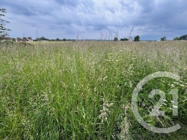 maison à vendre - 1 pièce - 25.0 m2 - MERRI - 61 - BASSE-NORMANDIE - Century 21 Ml Immobilier