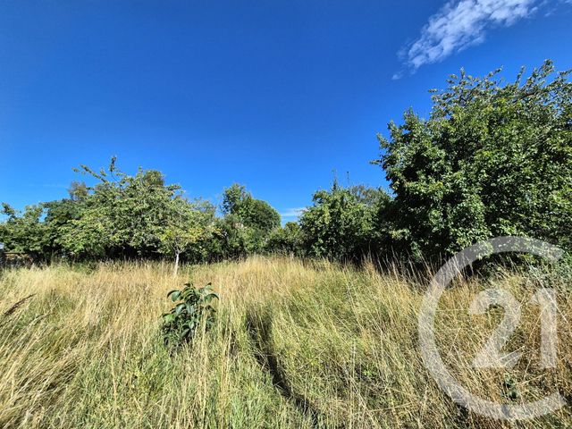 terrain à vendre - 972.0 m2 - BOUCE - 61 - BASSE-NORMANDIE - Century 21 Ml Immobilier