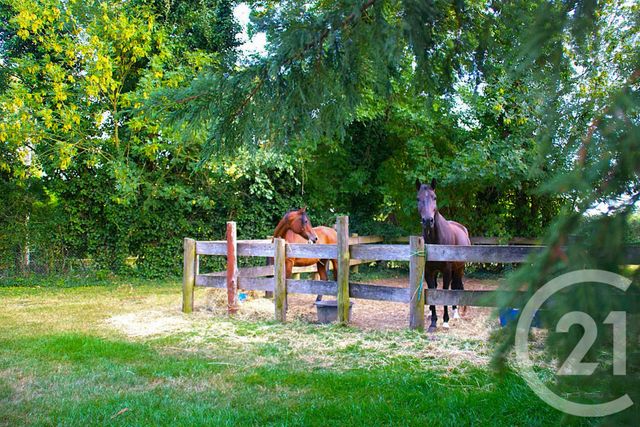 maison à vendre - 10 pièces - 294.0 m2 - TRUN - 61 - BASSE-NORMANDIE - Century 21 Ml Immobilier