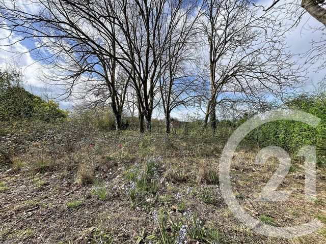 maison à vendre - 4 pièces - 116.0 m2 - ARGENTAN - 61 - BASSE-NORMANDIE - Century 21 Ml Immobilier