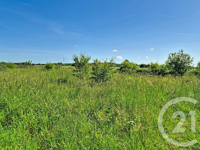 terrain à vendre - 921.0 m2 - ARGENTAN - 61 - BASSE-NORMANDIE - Century 21 Ml Immobilier