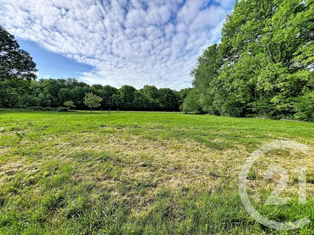 terrain à vendre - 5260.0 m2 - ST SAUVEUR DE CARROUGES - 61 - BASSE-NORMANDIE - Century 21 Ml Immobilier
