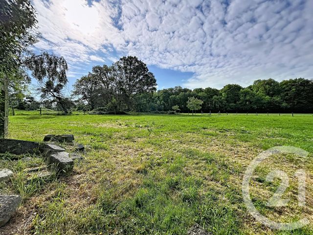 terrain à vendre - 5260.0 m2 - ST SAUVEUR DE CARROUGES - 61 - BASSE-NORMANDIE - Century 21 Ml Immobilier