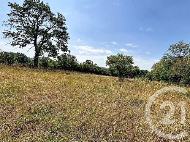 maison à vendre - 9 pièces - 188.95 m2 - LE CERCUEIL - 61 - BASSE-NORMANDIE - Century 21 Ml Immobilier